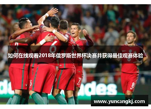 如何在线观看2018年俄罗斯世界杯决赛并获得最佳观赛体验
